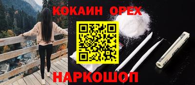 прущие грибы Апшеронск