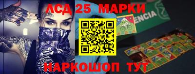 прущие грибы Апшеронск