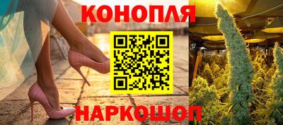 прущие грибы Апшеронск