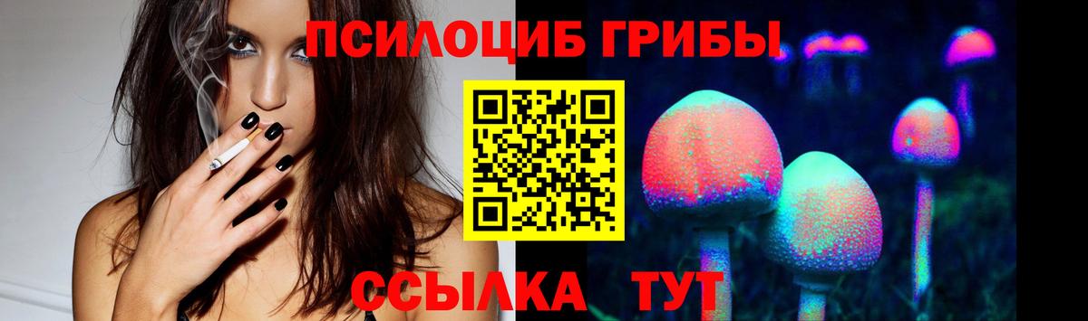 Брянск  Галлюциногенные грибы Psilocybine cubensis  Вход с VPN  Галлюциногенные грибы прущие грибы 